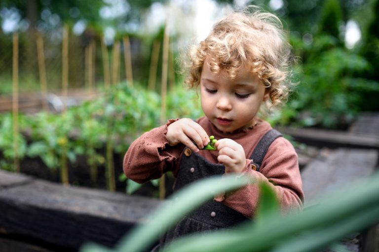 Top 10 tips for creating a kids vegetable patch!